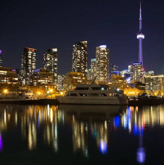 Meet your Posher, Ava - Picture 1 of 1